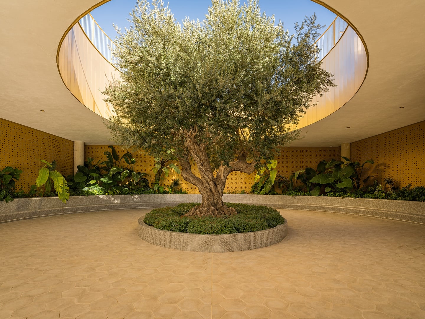 azmer intempo benidorm web 64 e46a8fe3