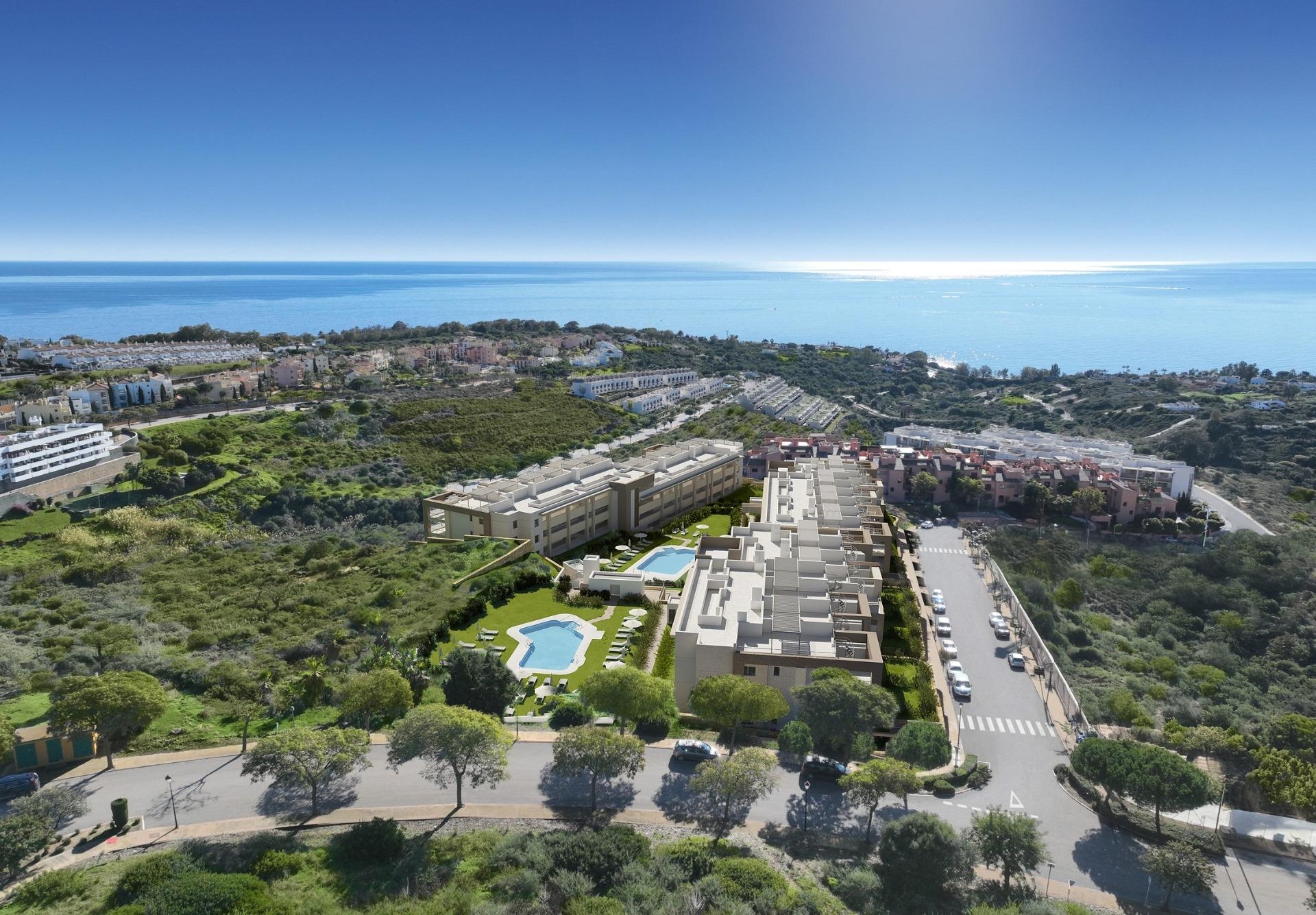 696-118-10-115-1