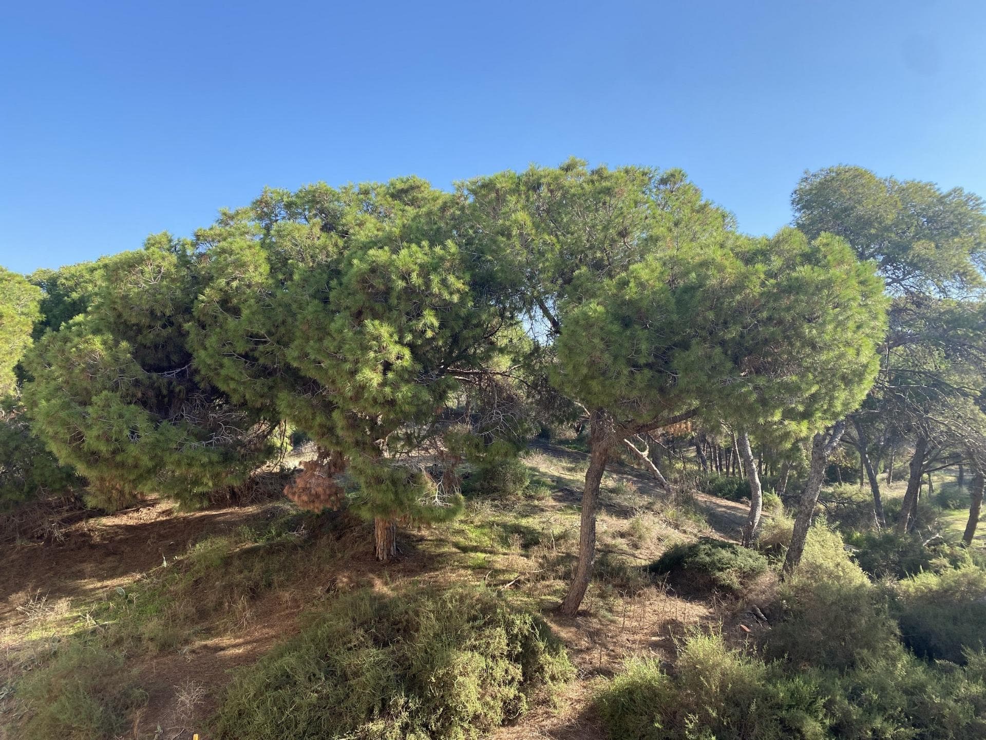3320-115-10-115-15