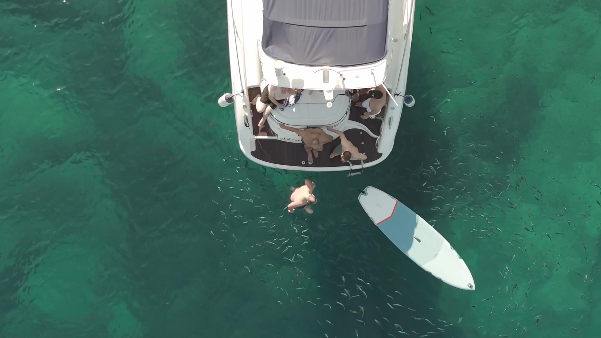 Aerial view of luxury speedboat with schools of fish swimming nearby